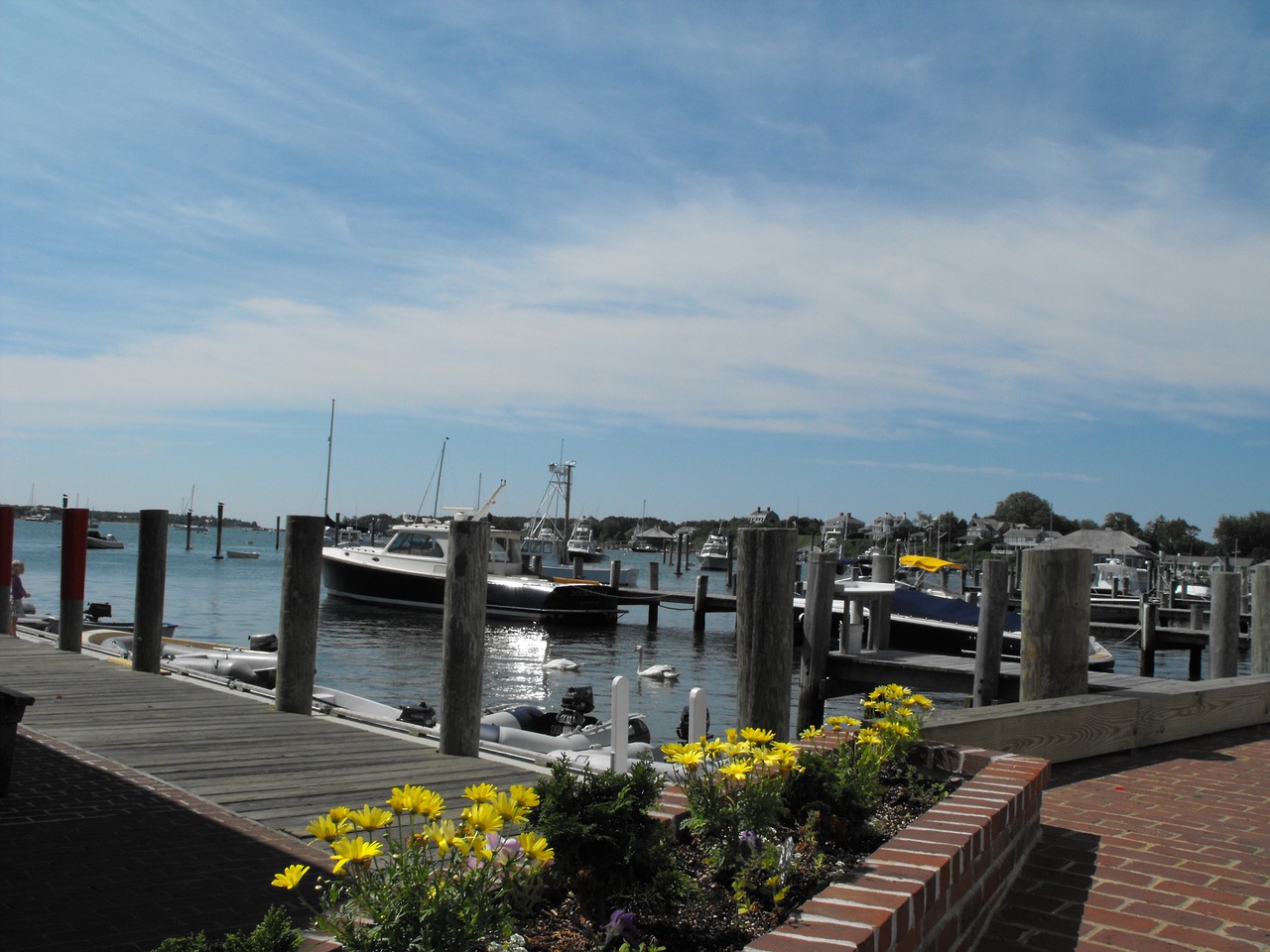 martha's vineyard summer pier free photo