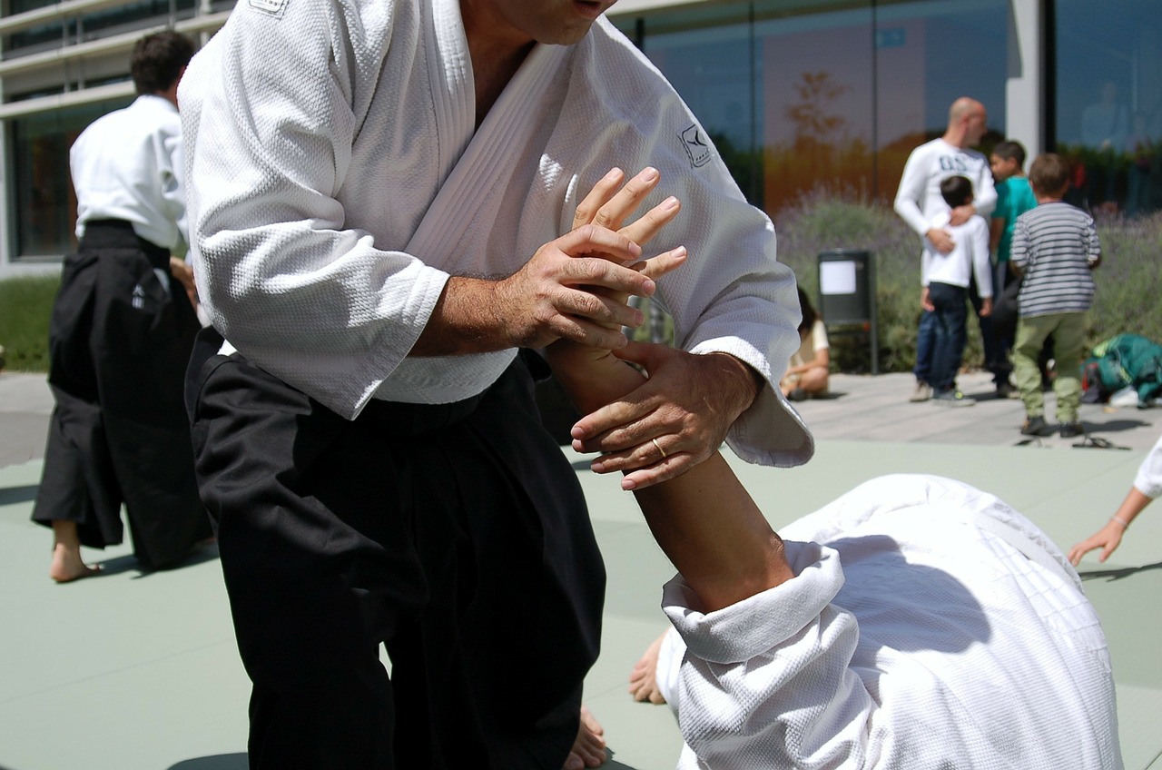 martial arts aikido sports free photo