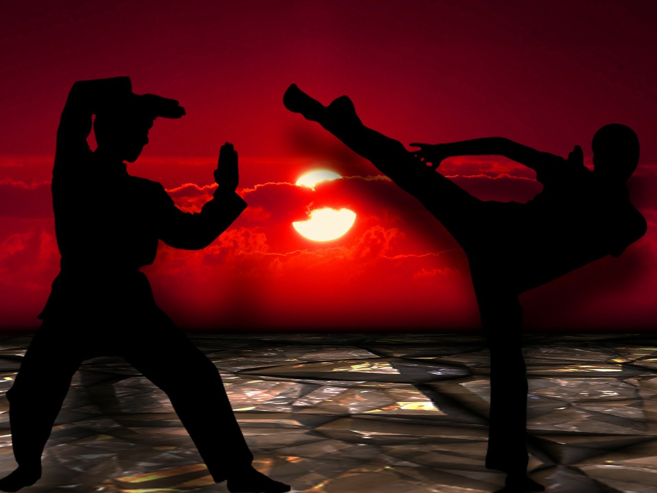 martial arts silhuetten muay thai free photo