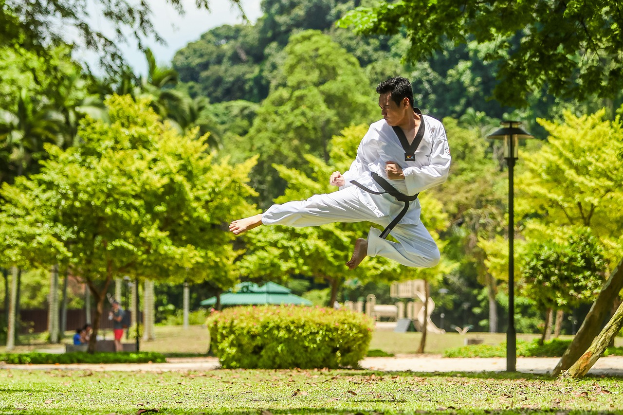 martial arts kung fu kick free photo