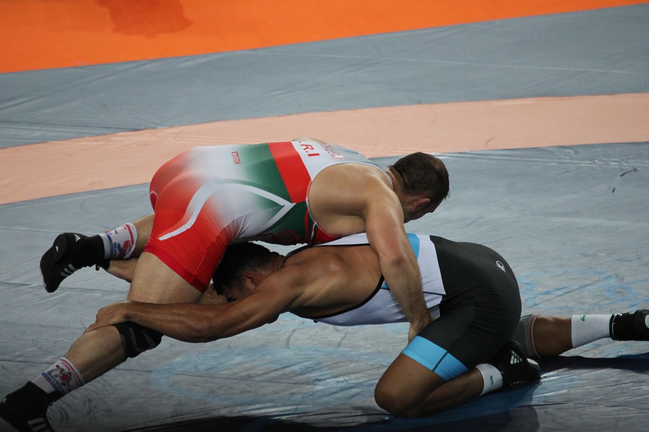 martial arts  wrestle  olympiad free photo