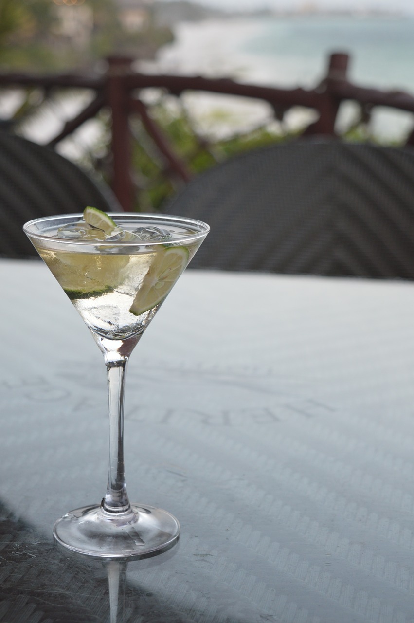 martini glass holidays free photo