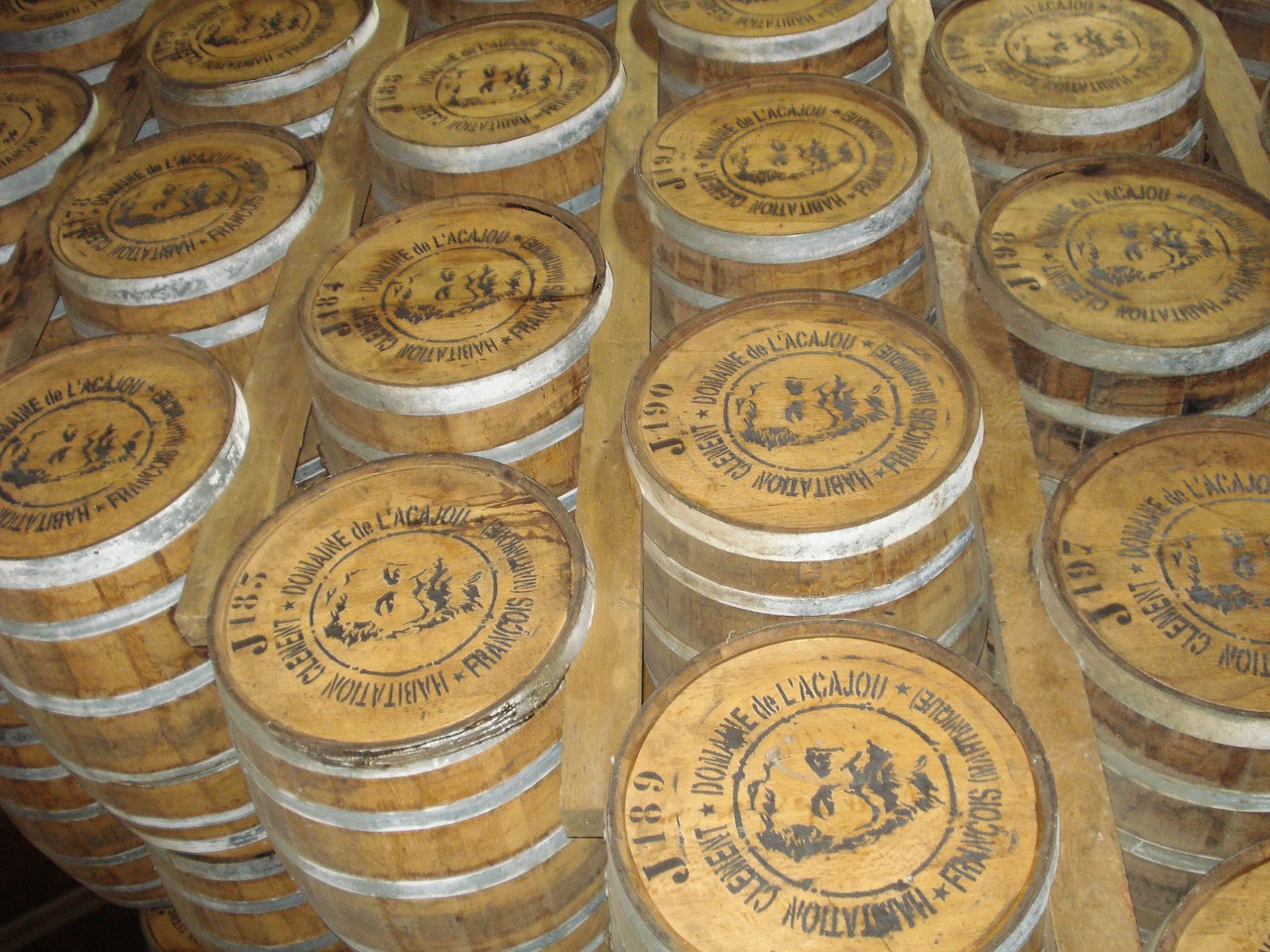 martinique rhumerie wooden barrels free photo