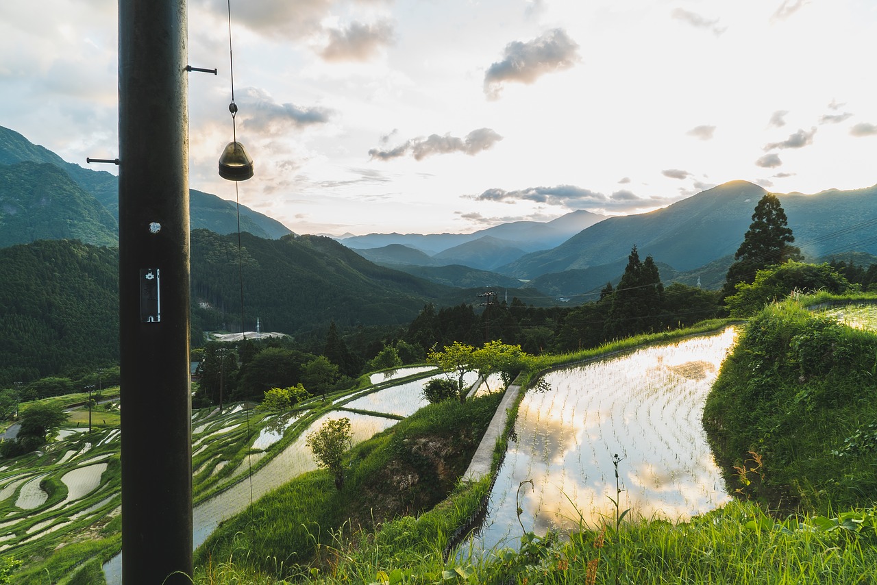 maruyama  senmaida  japan free photo