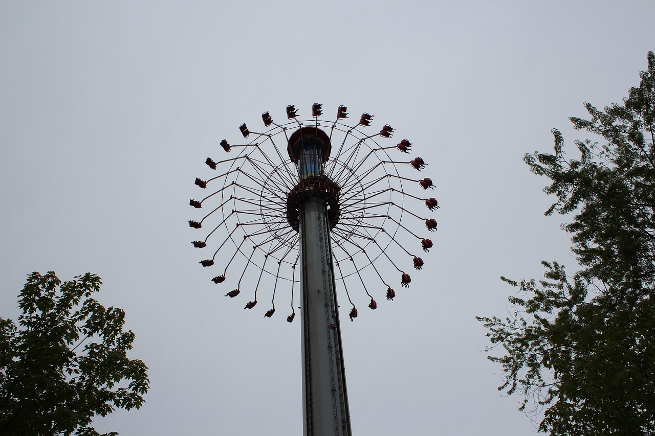 mary-go-round amusement park carousel free photo