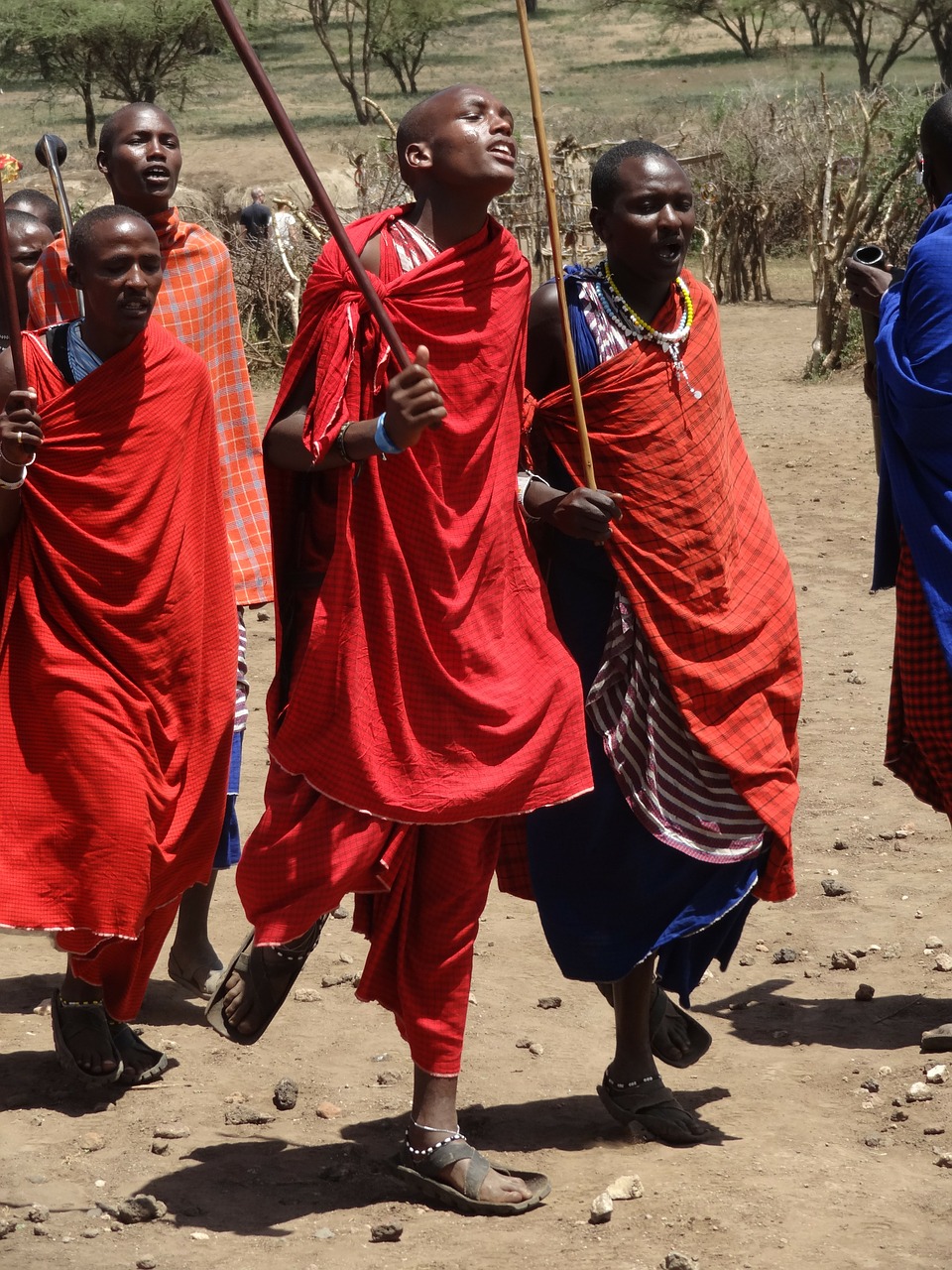 masai dances red free photo