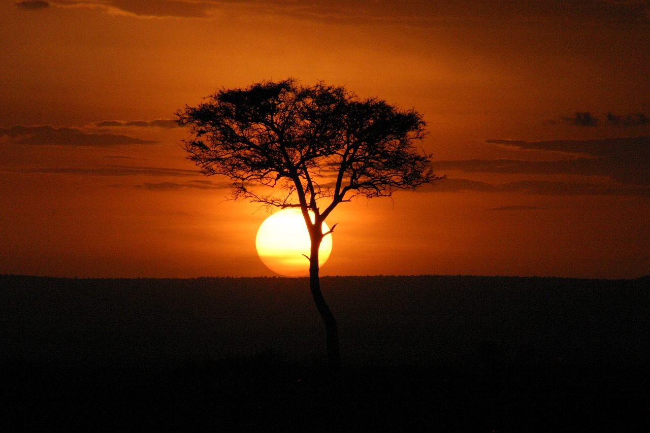 masai mara  sunset  kenya free photo
