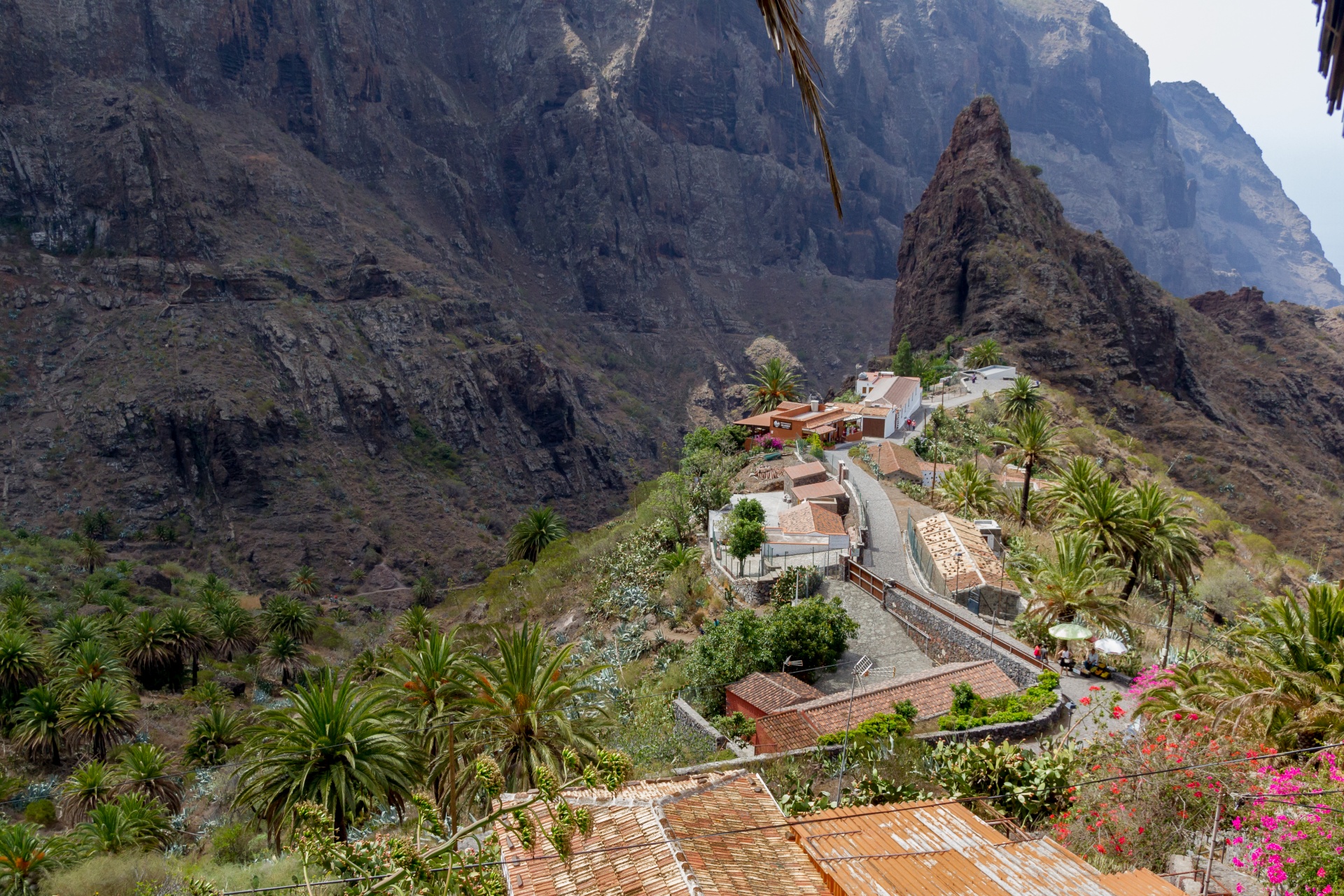 canary islands spain tenerife free photo