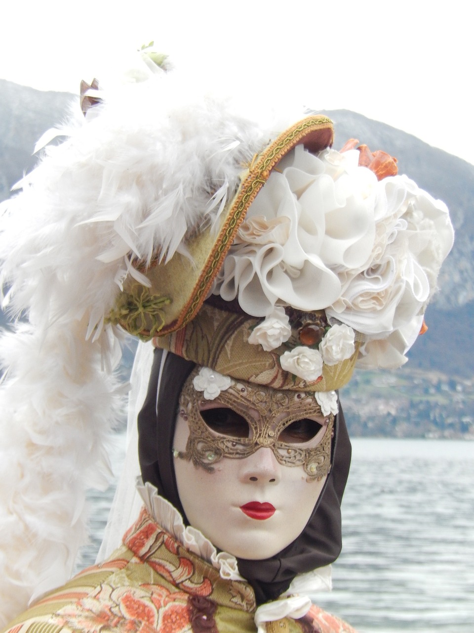 mask france carnival annecy free photo