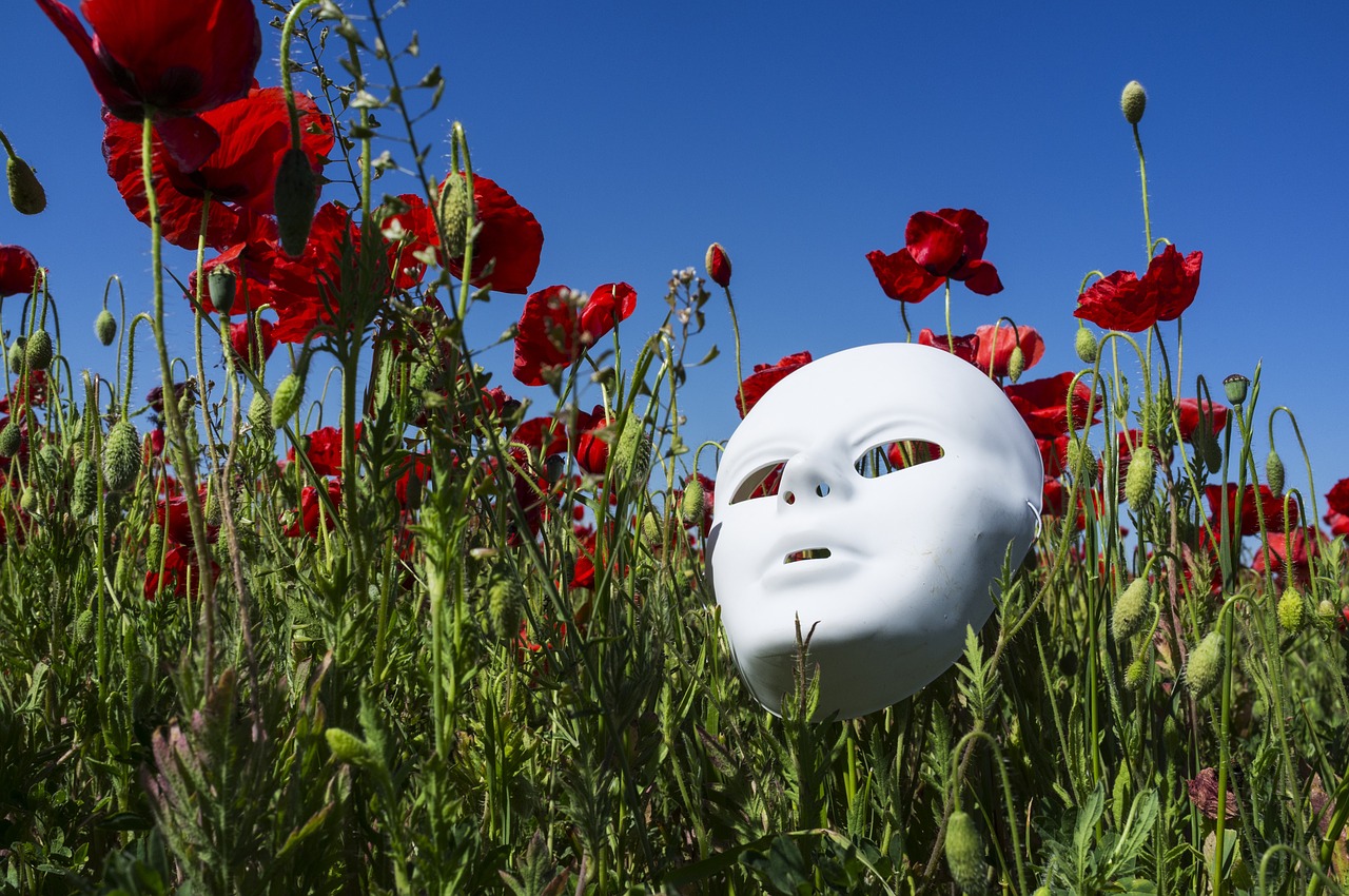 mask poppies field free photo