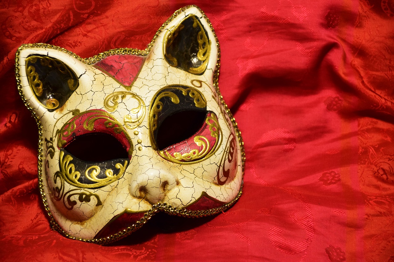 mask cat carnival free photo