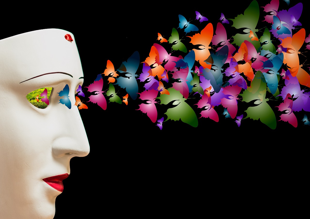 mask  butterflies  fantasia free photo