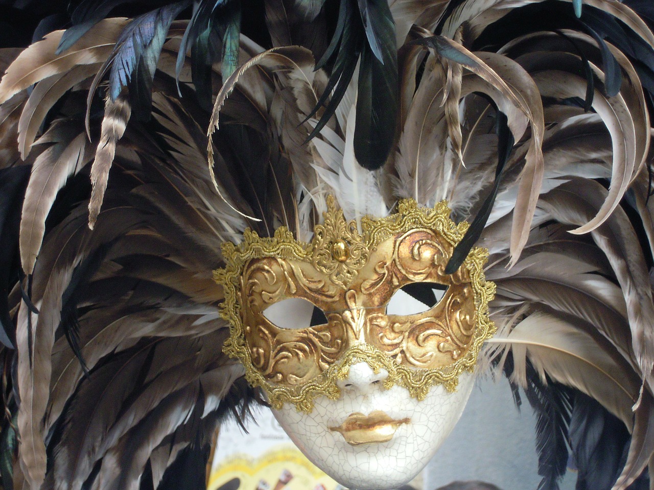 mask of venice carnival italy free photo