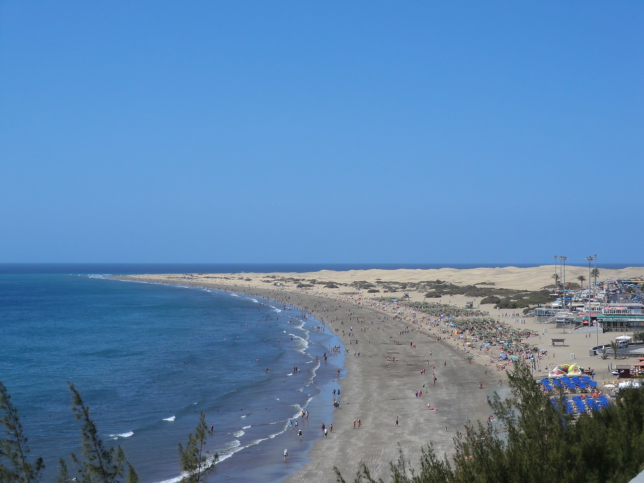 maspalomas beach dunes free photo