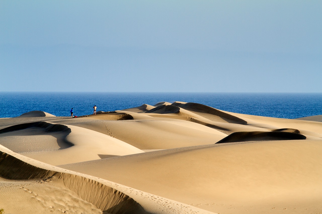 Maspalomas Natural Dune Reserve 