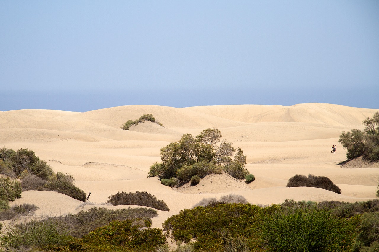 maspalomas dunes sand dunes free photo