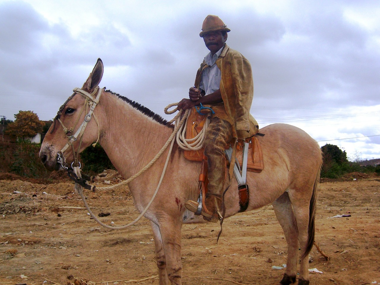 mass cowboy vale do jequitinhonha araçuaí free photo
