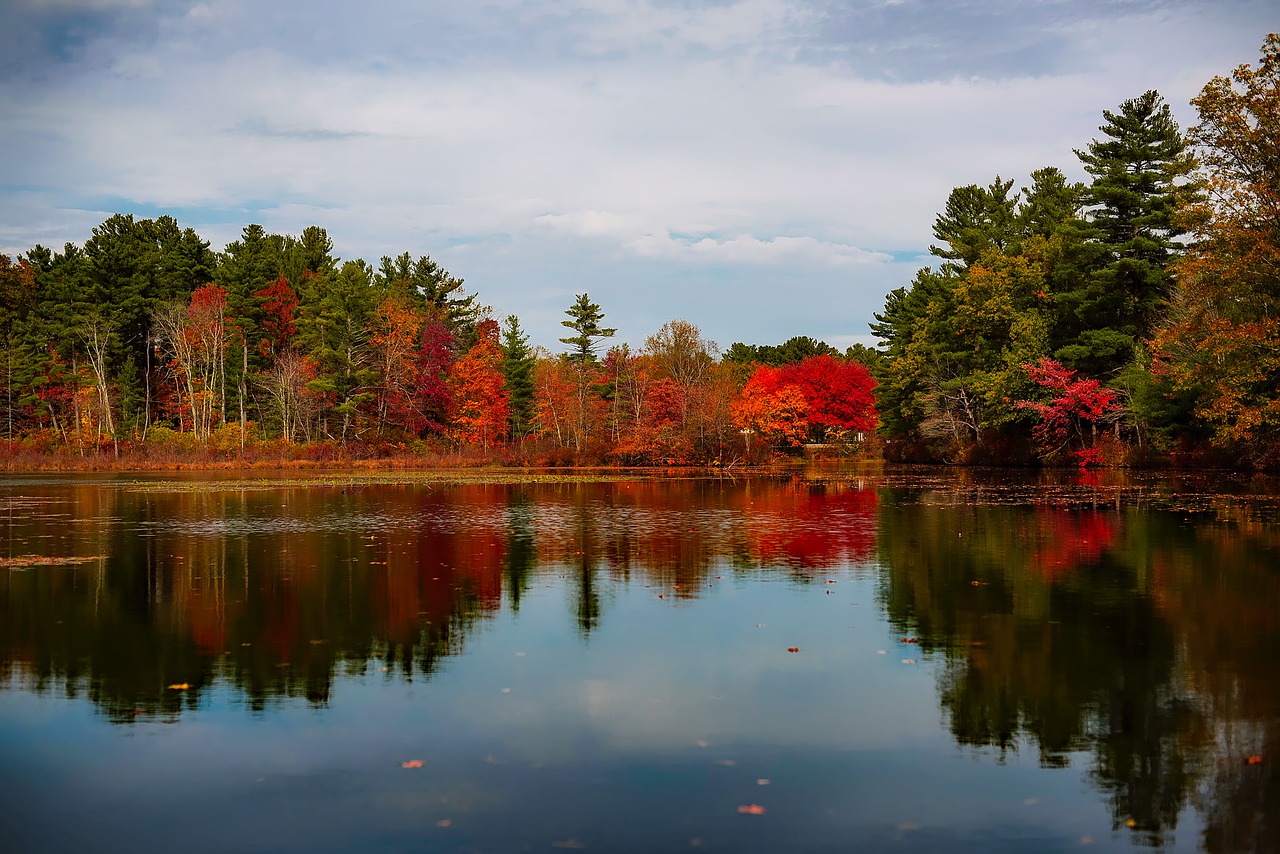 massachusetts lake water free photo