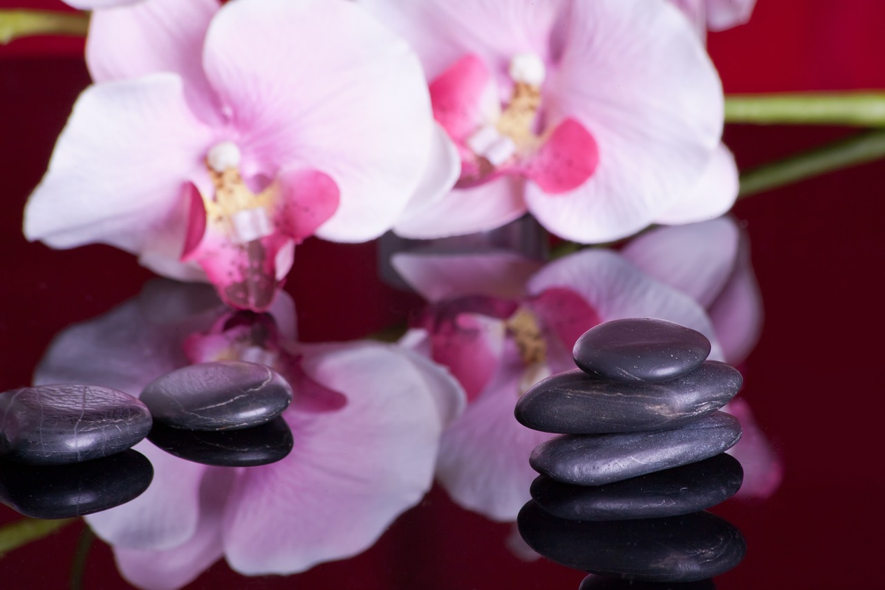 massage mirroring orchid free photo