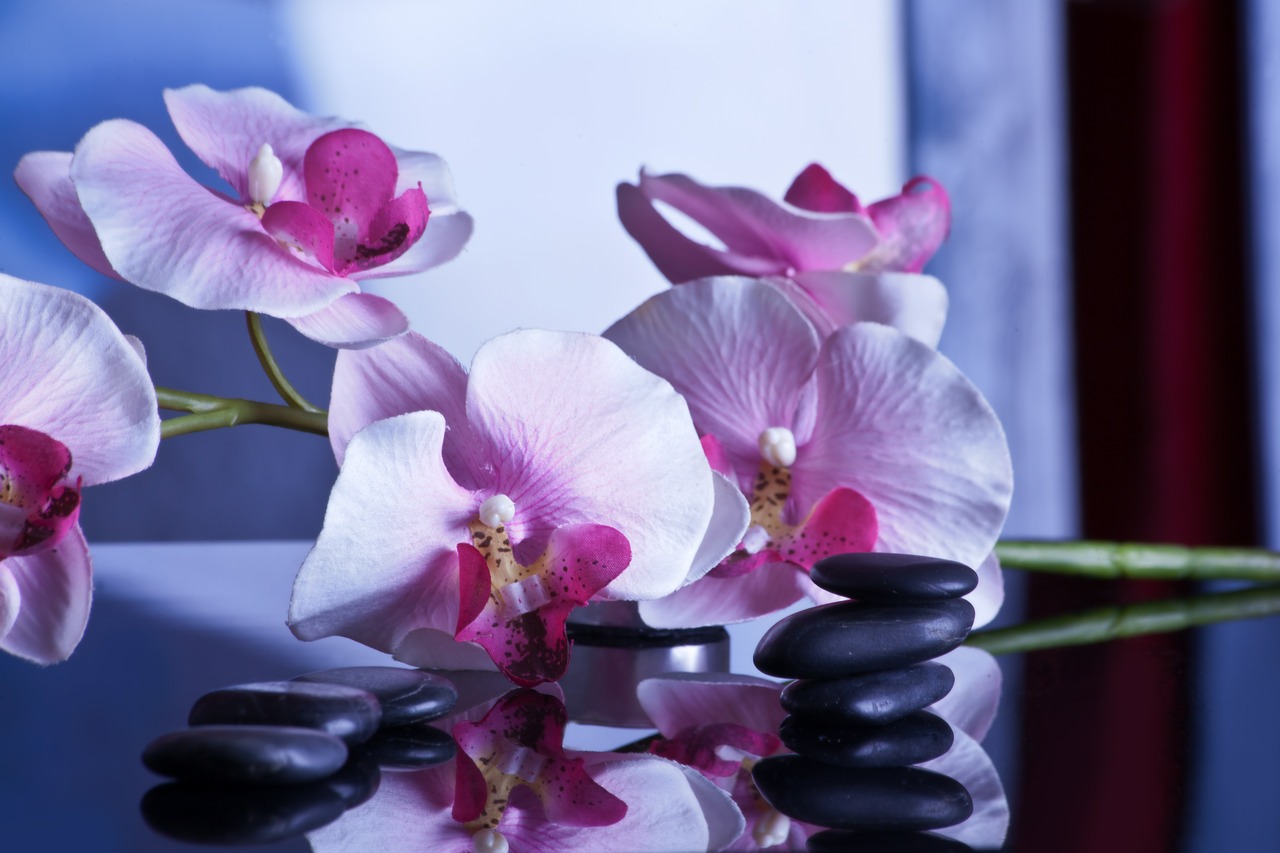 massage relaxation stones free photo