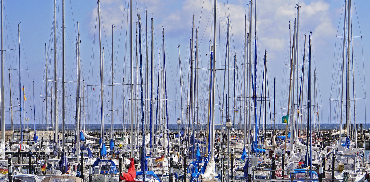 mast forest marina baltic sea free photo