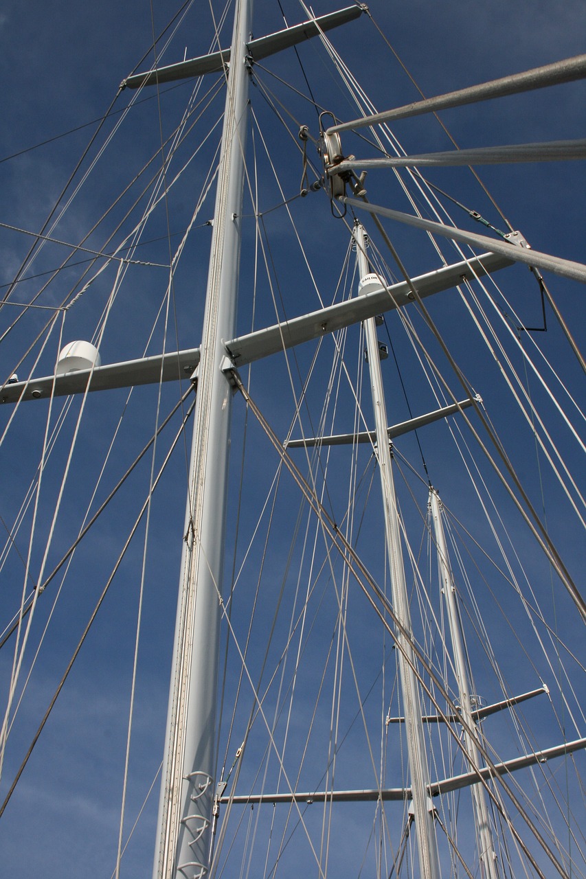 masts de eendracht blue free photo