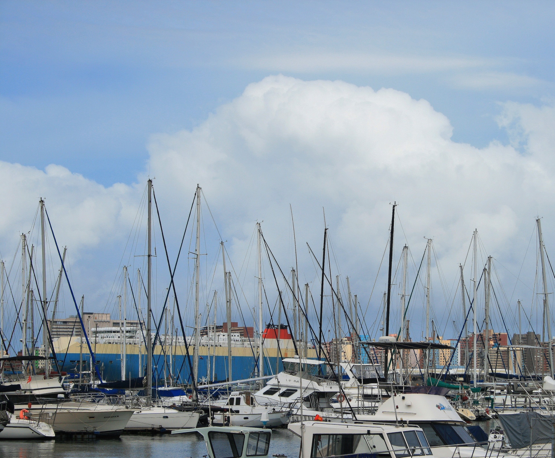 harbour yacht club yachts free photo