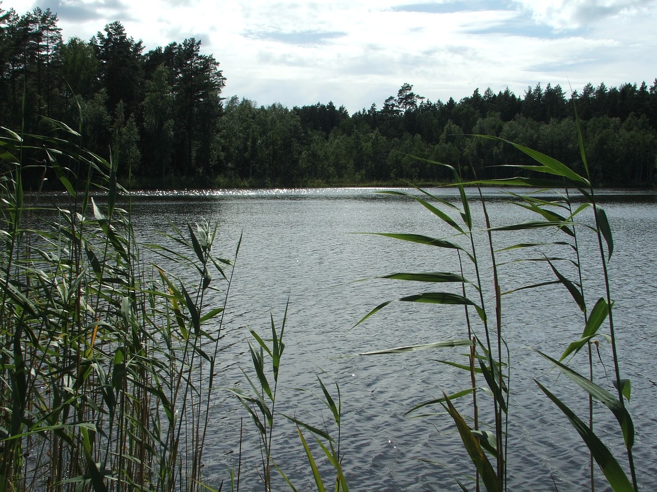 masuria nature lake free photo