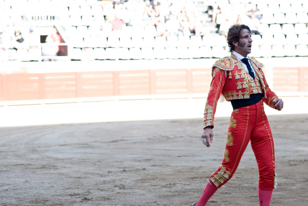 matador bullfighter torero free photo