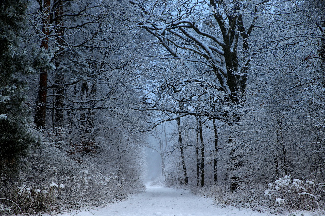 mati winter snow free photo