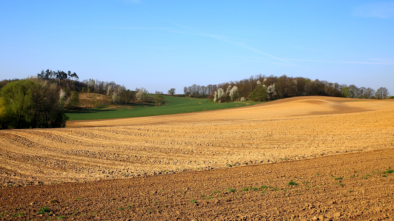 mati  nature  field free photo