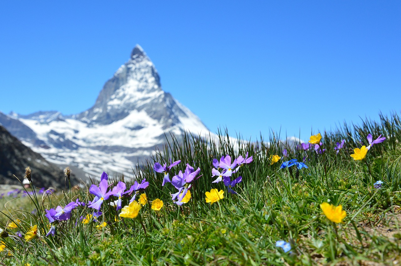 matterhorn alpine zermatt free photo