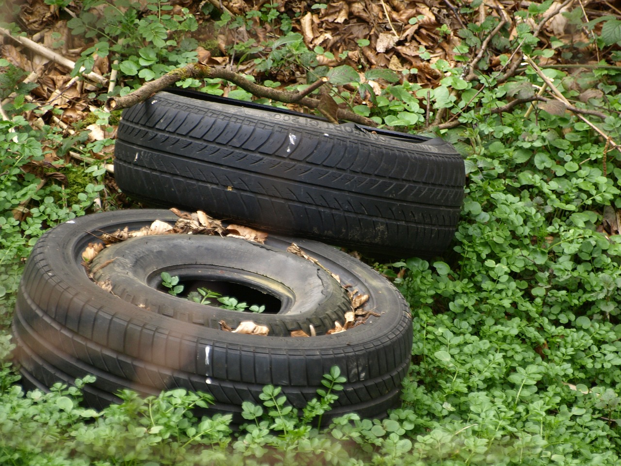 mature auto tires tires free photo