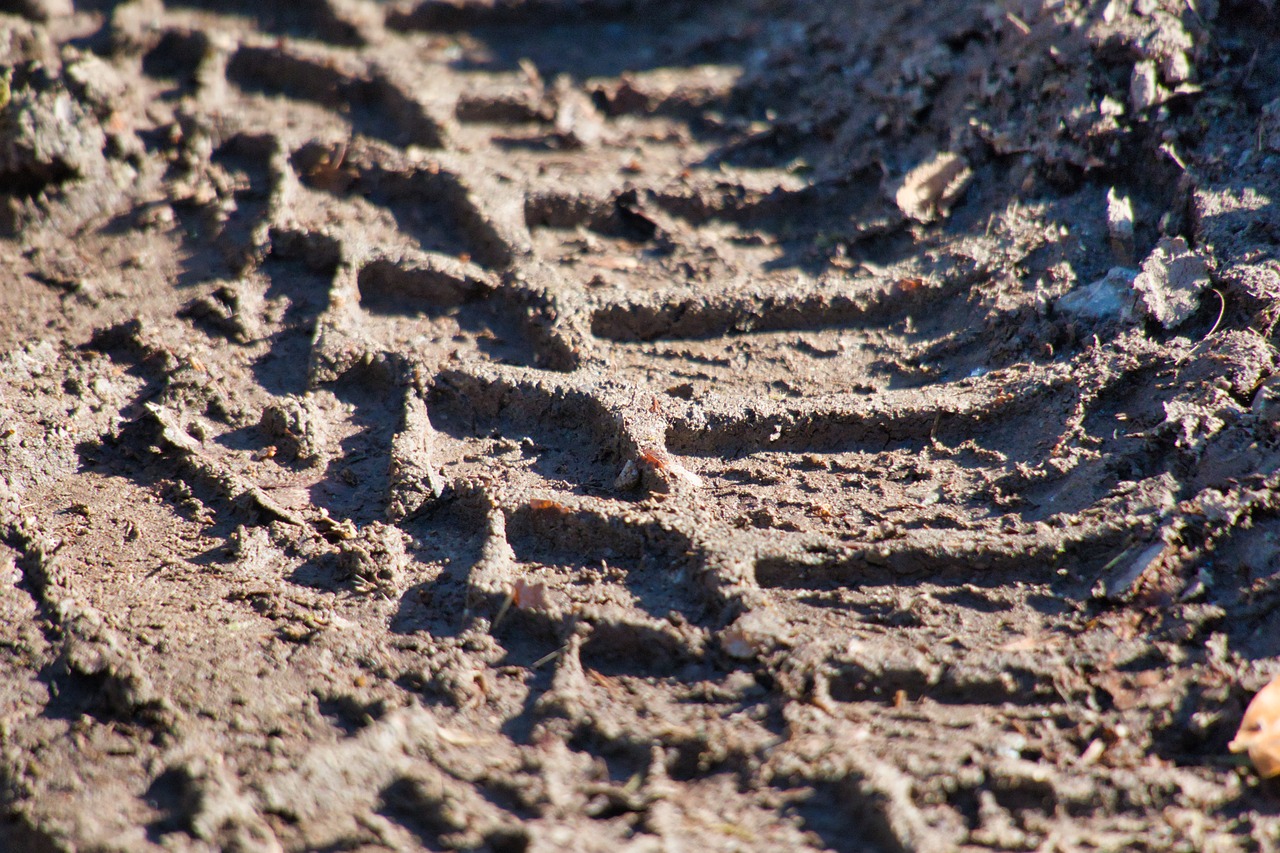 mature imprint  mud  tire track free photo