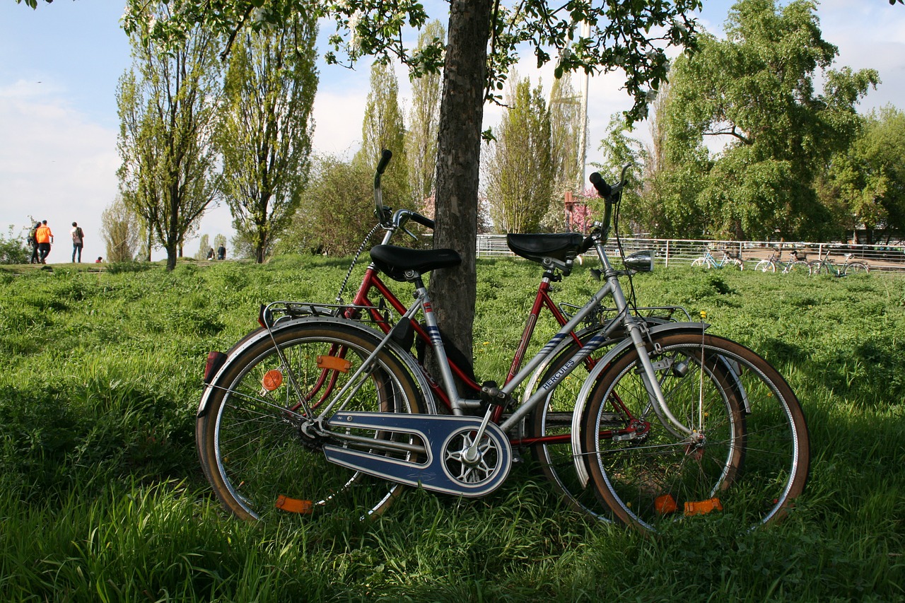 mauerpark berlin meadow free photo