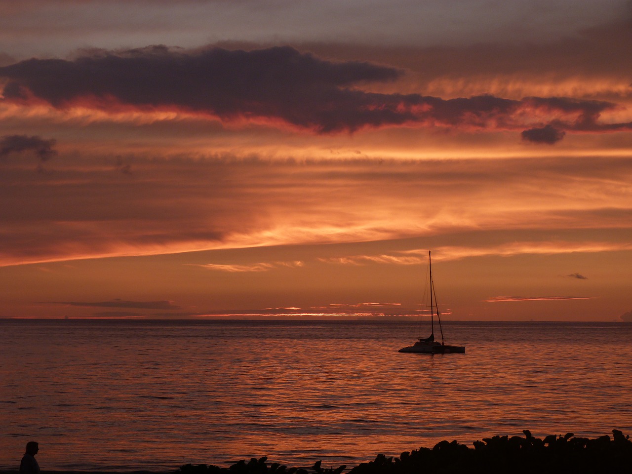 maui sailboat sunset free photo