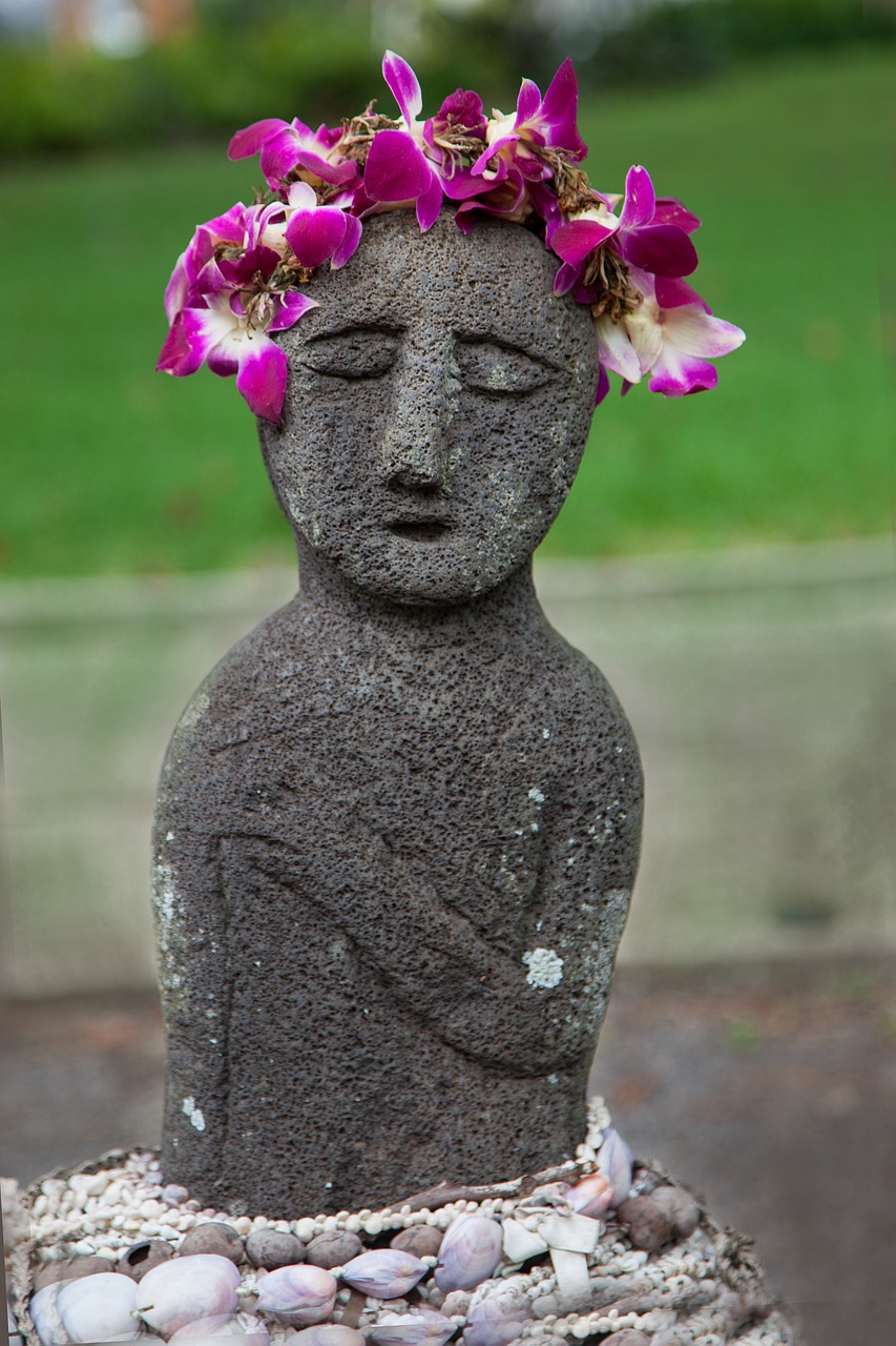 maui hawaii leis free photo