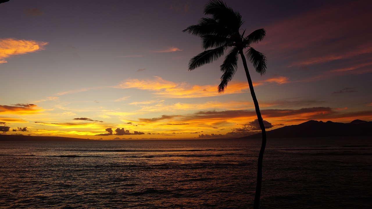 maui sunset hawaii free photo