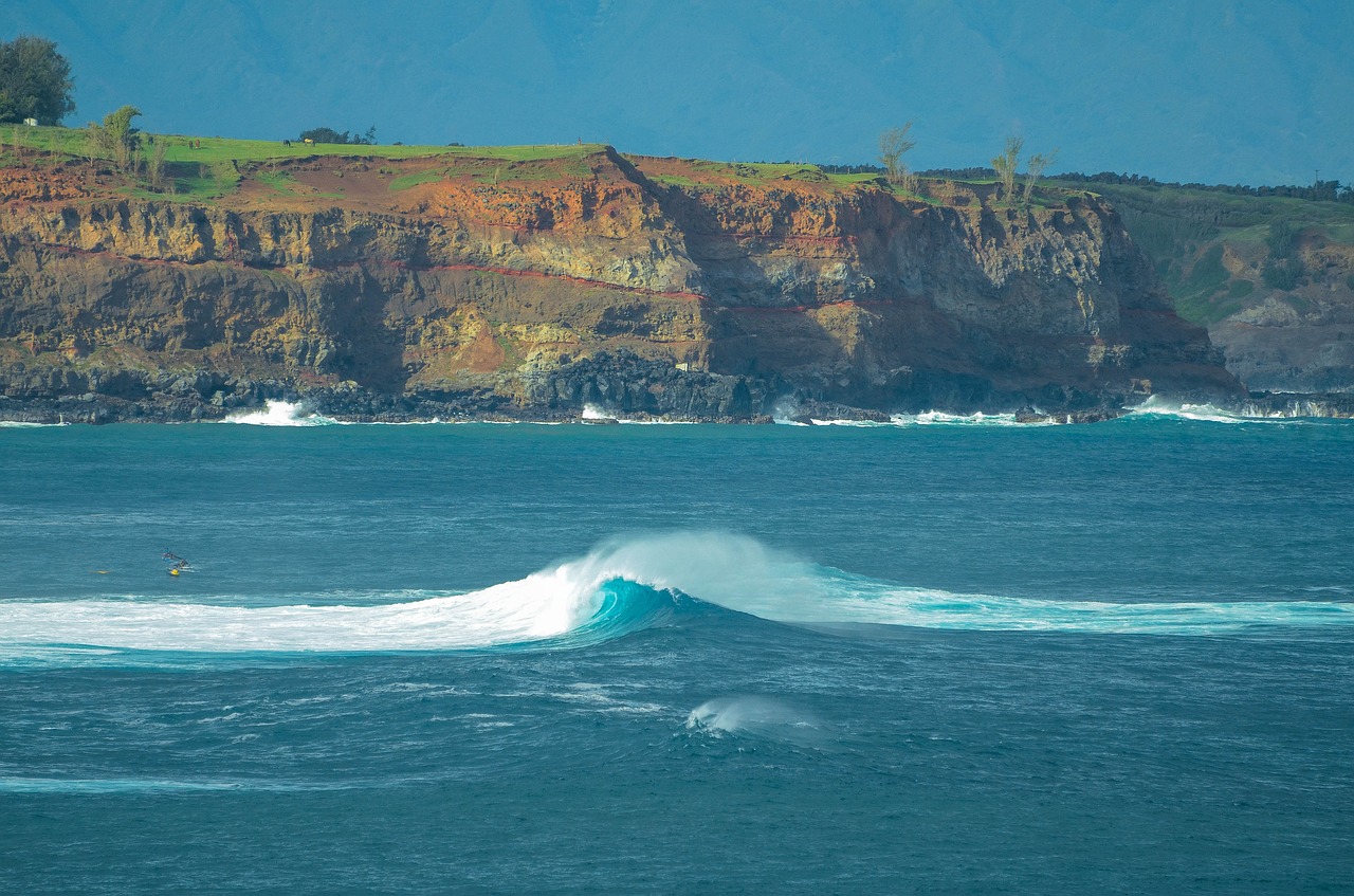 maui  wave  coast free photo