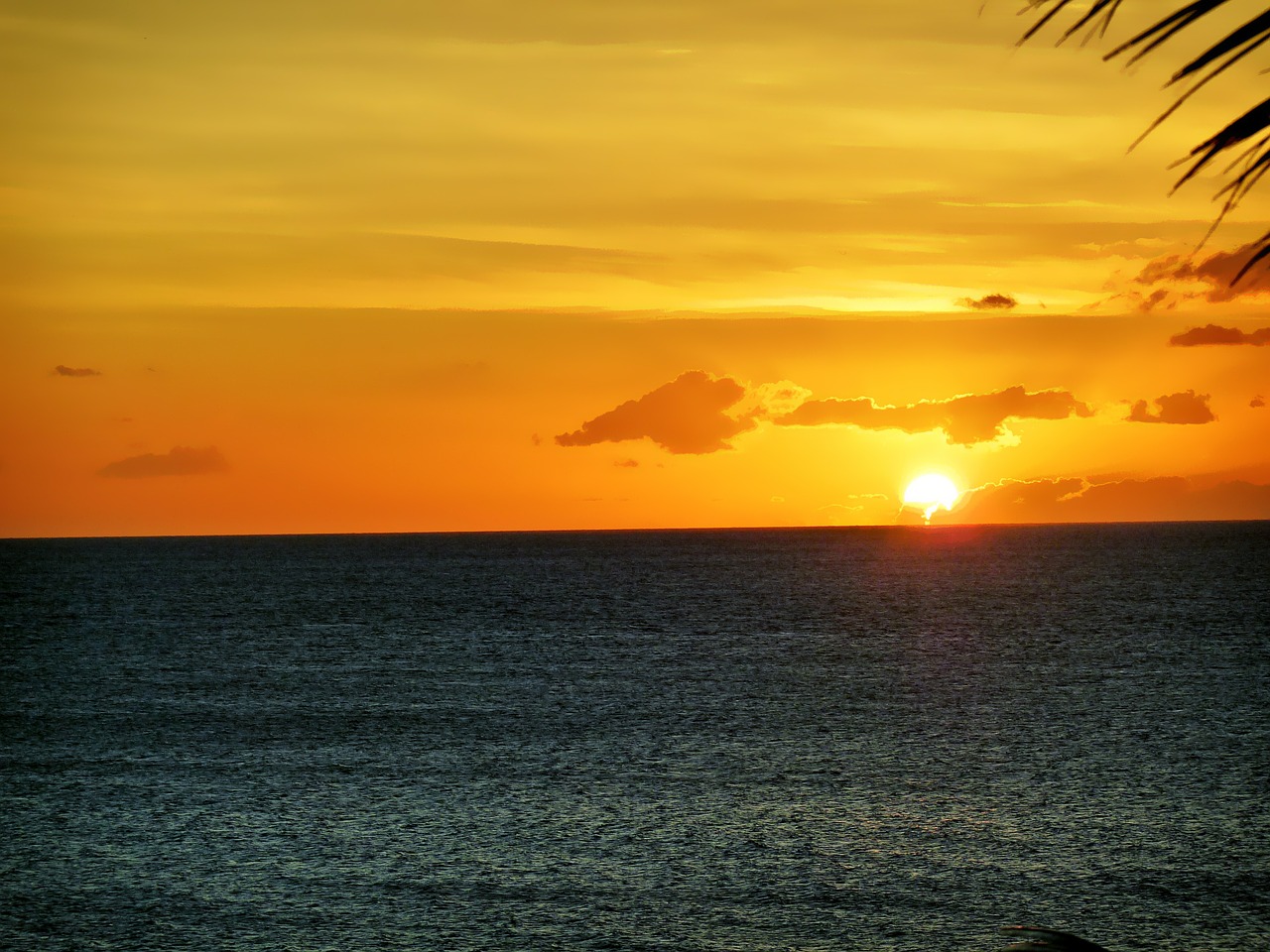 maui hawaii sunset free photo