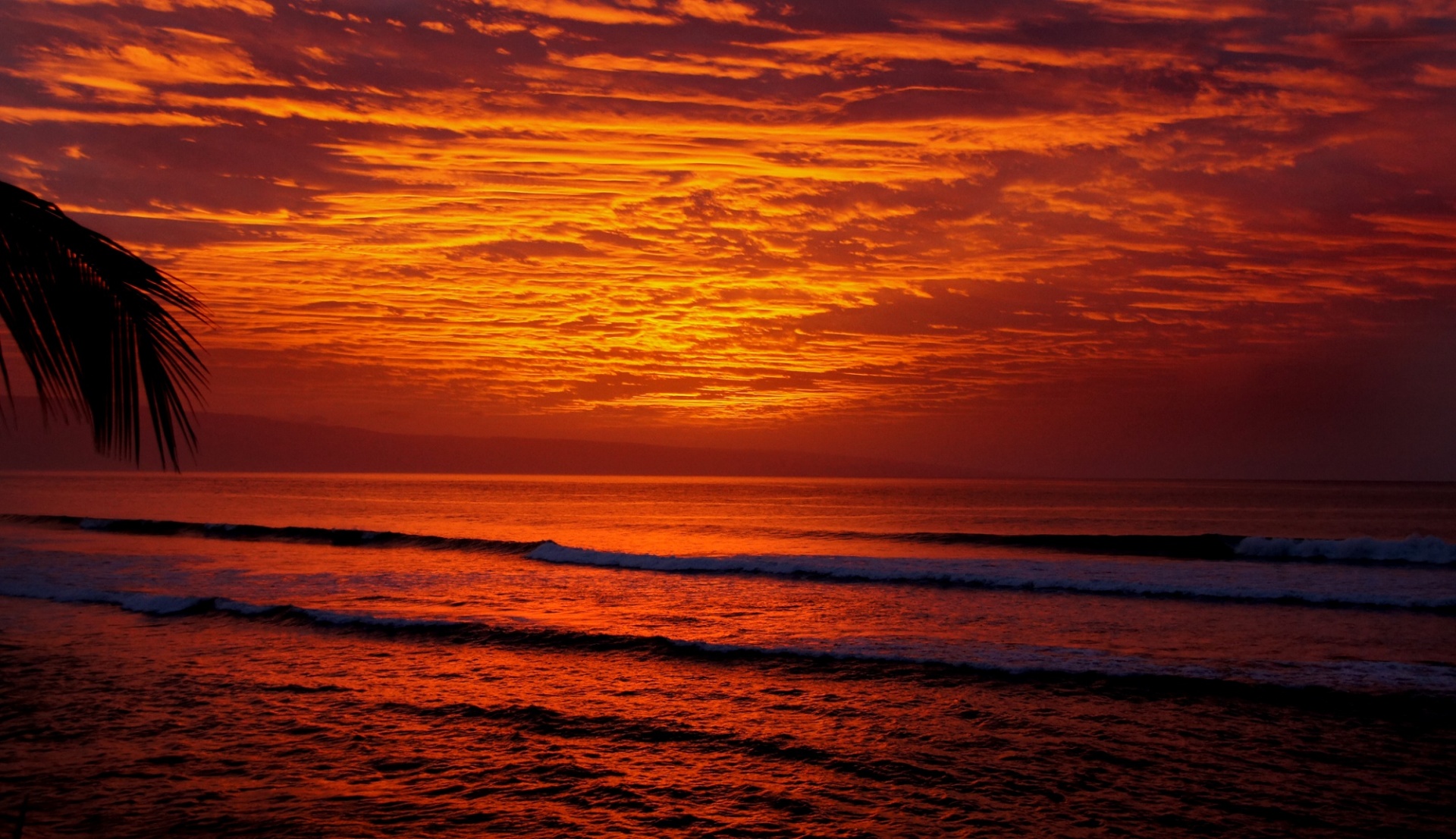 sunset maui hawaii free photo