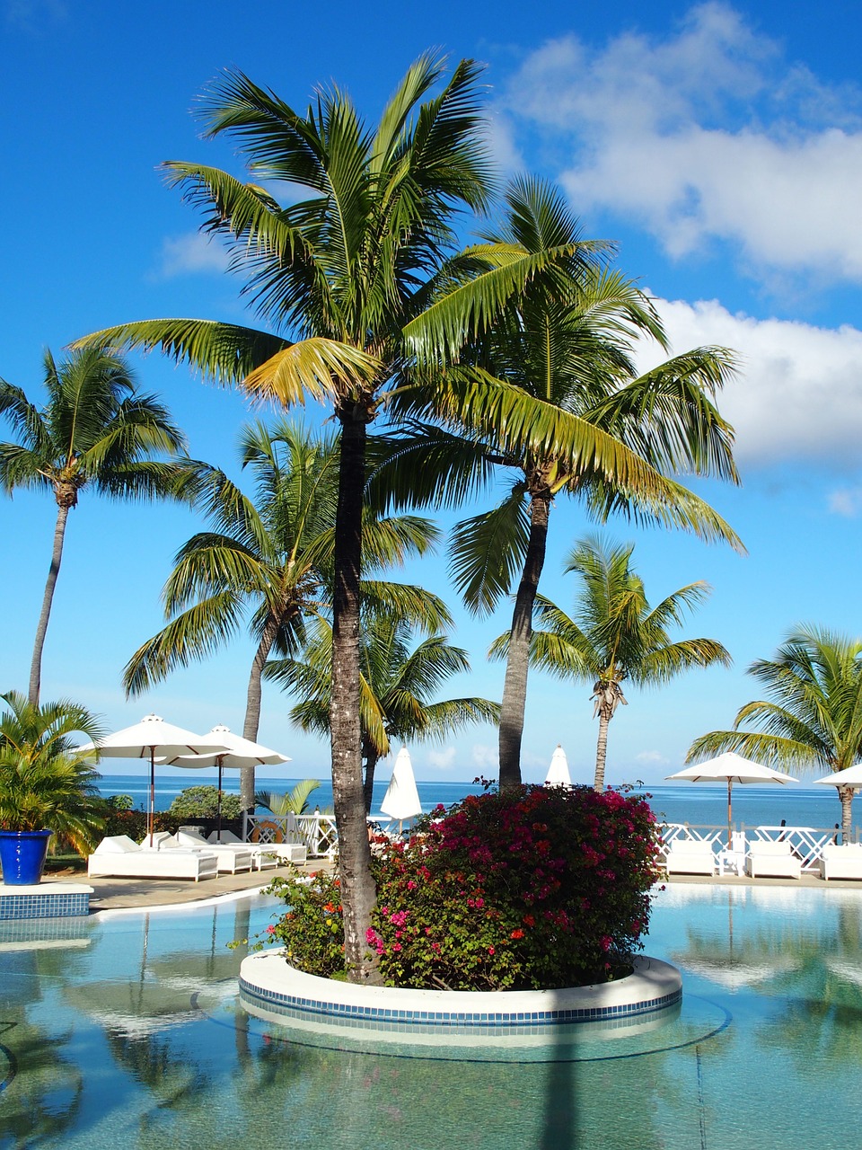 mauritius pool summer free photo