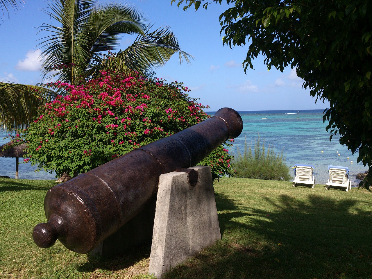 mauritius beach palm trees free photo