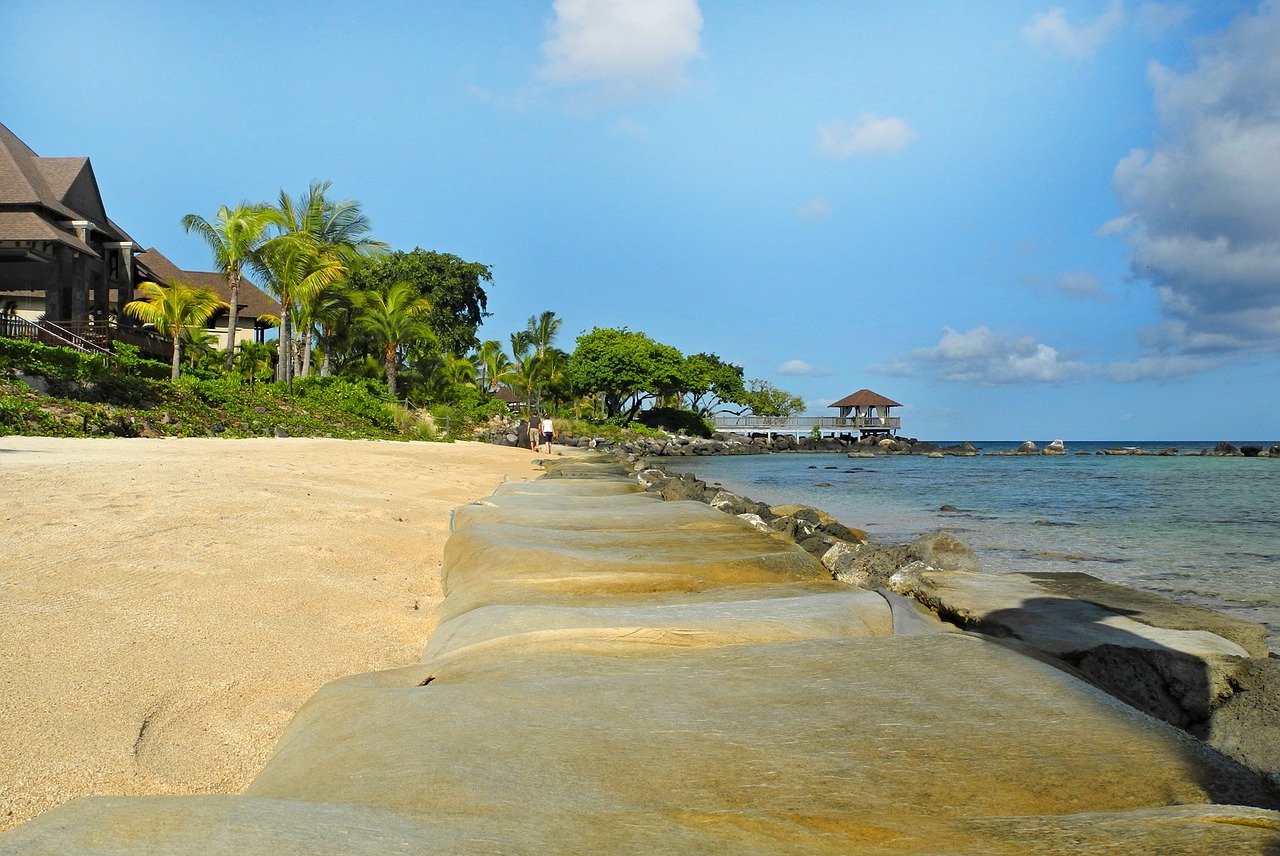 mauritius beach ocean free photo