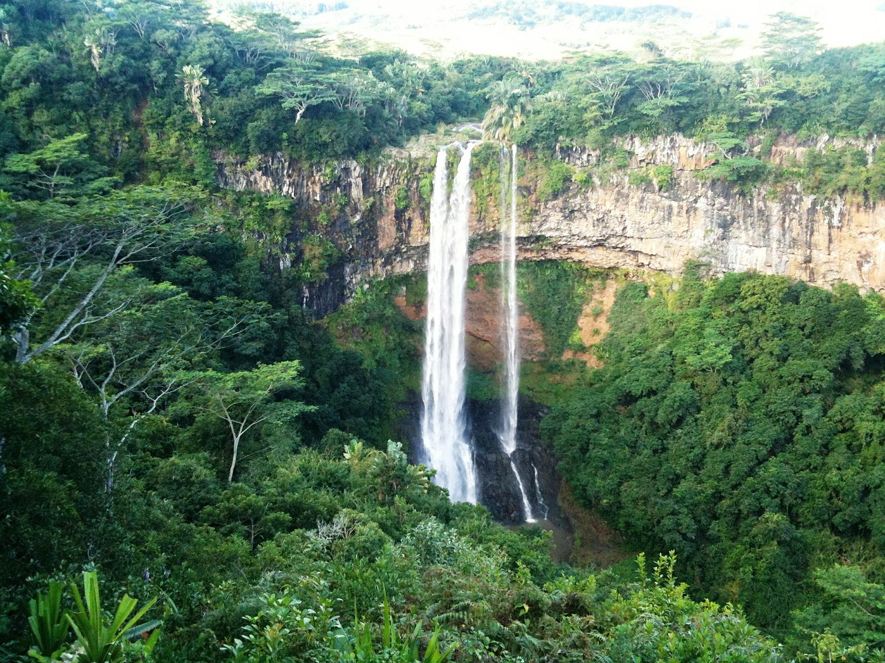 mauritius waterfall jungle free photo
