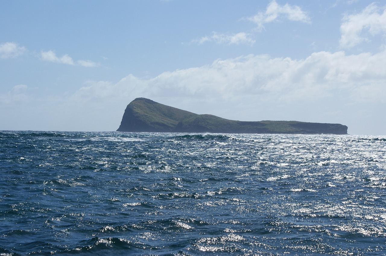 mauritius ocean cliff free photo