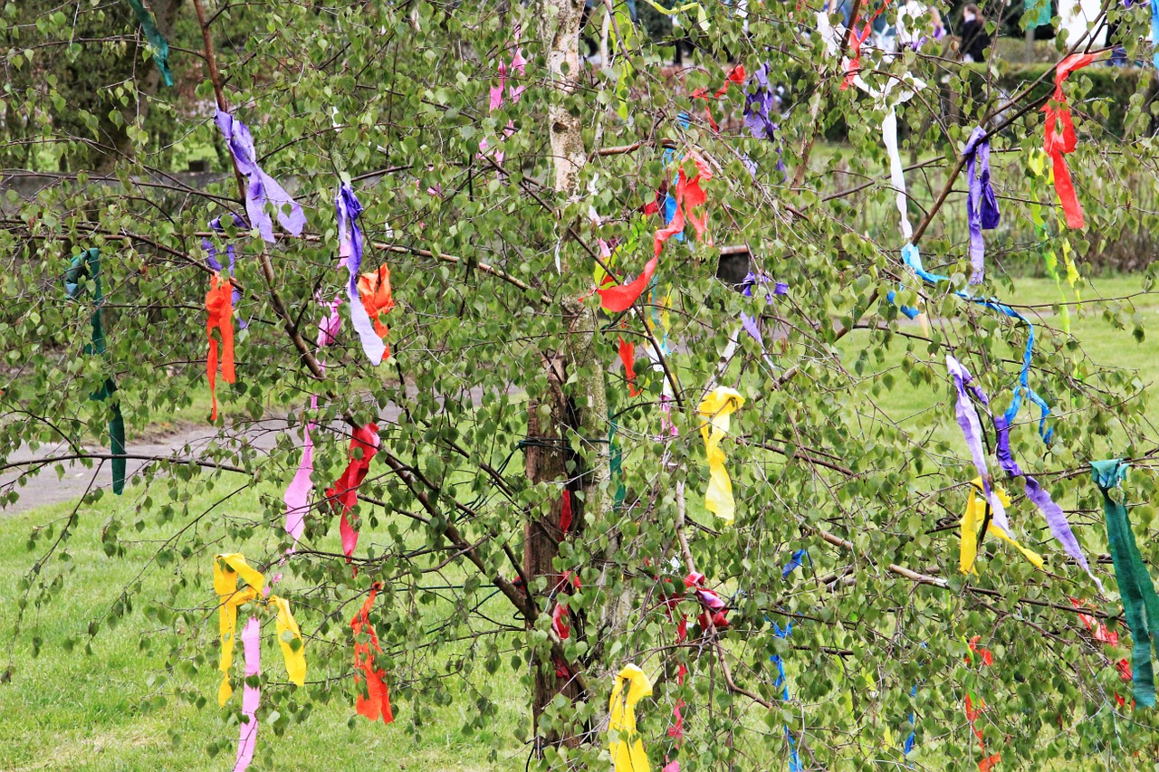 maypole decorated birch tradition free photo