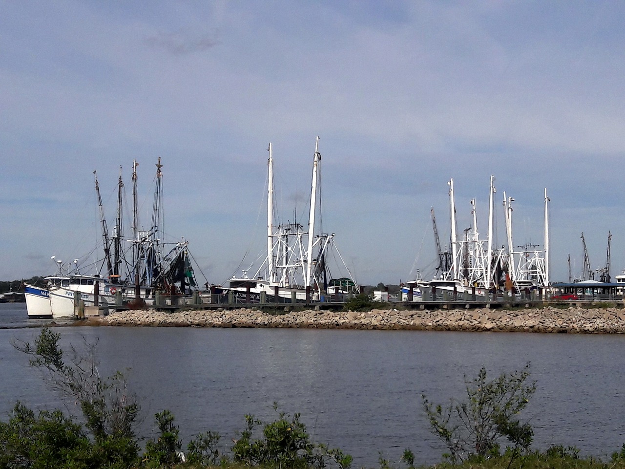 mayport shrimp boats fishing free photo