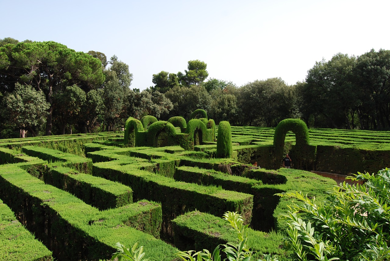 maze green labyrinth free photo