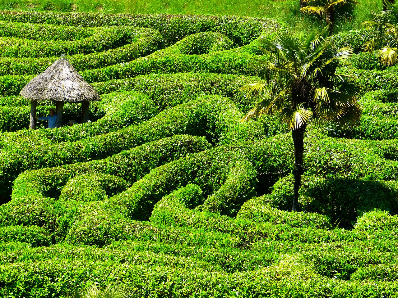 maze labyrinth glendurgan free photo